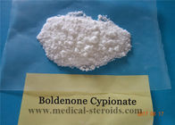 Raw Injectable Anabolic Steroids Boldenone Cypionate Cycle For Musle Gain 106505-90-2