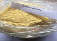 Tren Acetate ยอดนิยม Finaplix Injectable Anabolic Steroids Trenbolone Acetate ชายใช้กล้ามเนื้ออาคาร