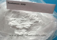 Injectable Testosterone Sustanon 250 Powder for Male Andropause Treatment / Muscle Building