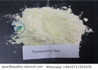 Quick Impact Most Powerful Parabolan Trenbolone Hexahydrobenzyl Carbonate Powder For Bodybuilding