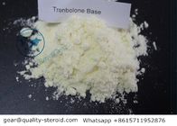 Fast Muscle Harvest Trenbolone Base Injectable Tren base Bodybuilding Tren Powder 100% Safe