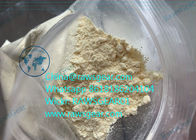 CAS 10161-34-9 Tren Anabolic Steroid Revalor H Finaplix / Trenbolone Acetate
