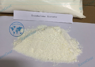 ผงสเตียรอยด์บริสุทธิ์ 99% Trenbolone Acetate Tren Ace สำหรับการสร้างกล้ามเนื้อ CAS 10161-34-9
