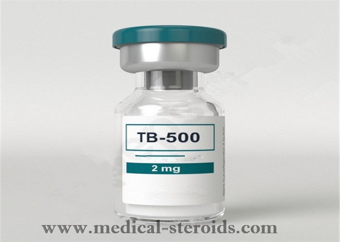 CAS 77591-33-4 Human Growth Hormone Peptides สเตียรอยด์ TB500 ผงสำหรับการดึงดูดกล้ามเนื้อ