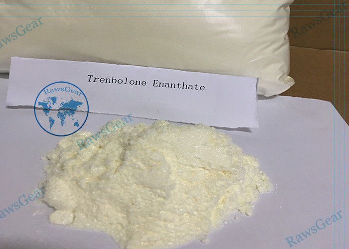 ยอดนิยมเพาะกาย Trenbolone ฉีดเตียรอยด์ Trenbolone enanthate ผงปลอดภัย 100%